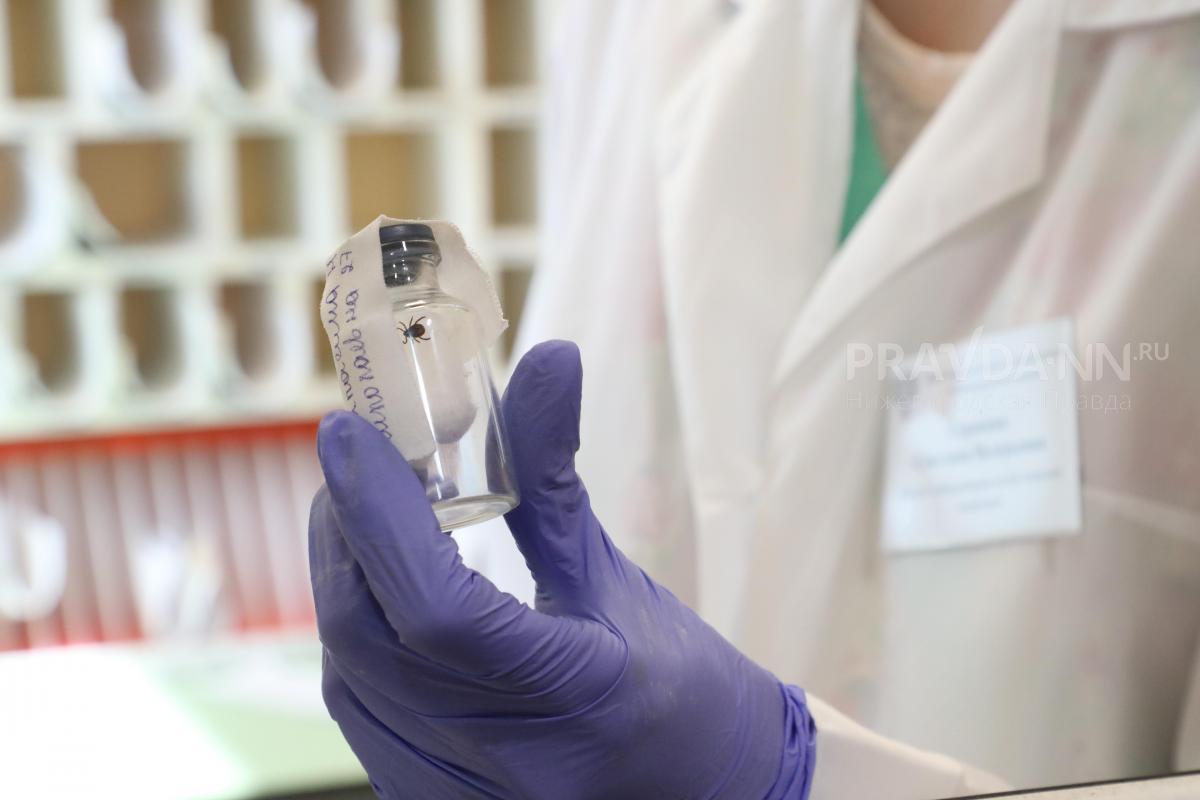 Инфекционист Неронов предупредил о второй волне активности клещей в августе